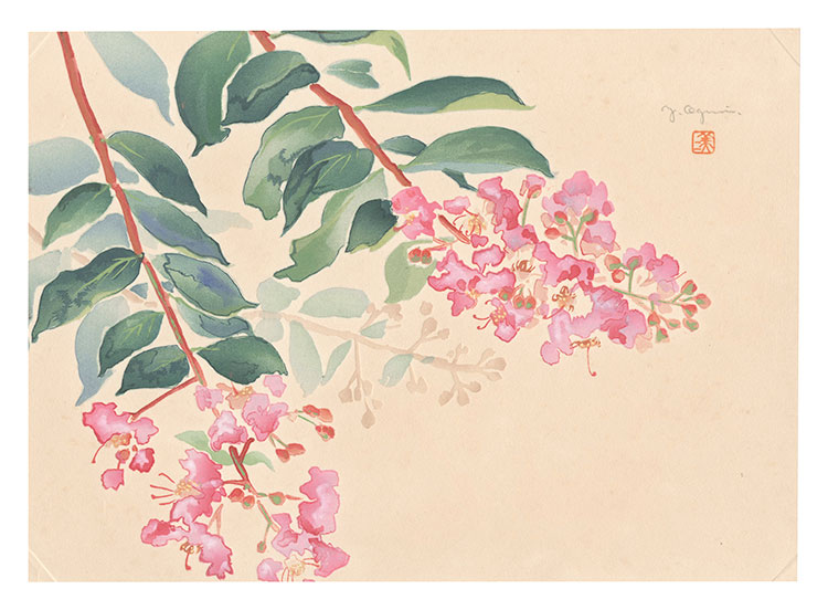 Oguri Yoshiji “Picture Album of Various Flowers / Crape Myrtle”