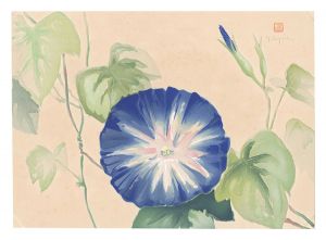 小栗美二「萬華画譜　あさがほ」