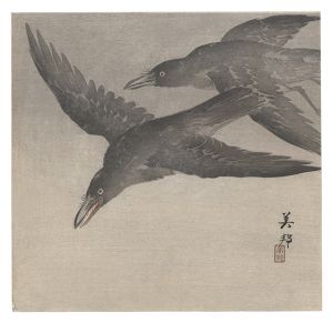 美邦「烏（仮題）」