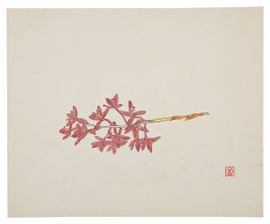 富本憲吉「陶画集より　蘭花」