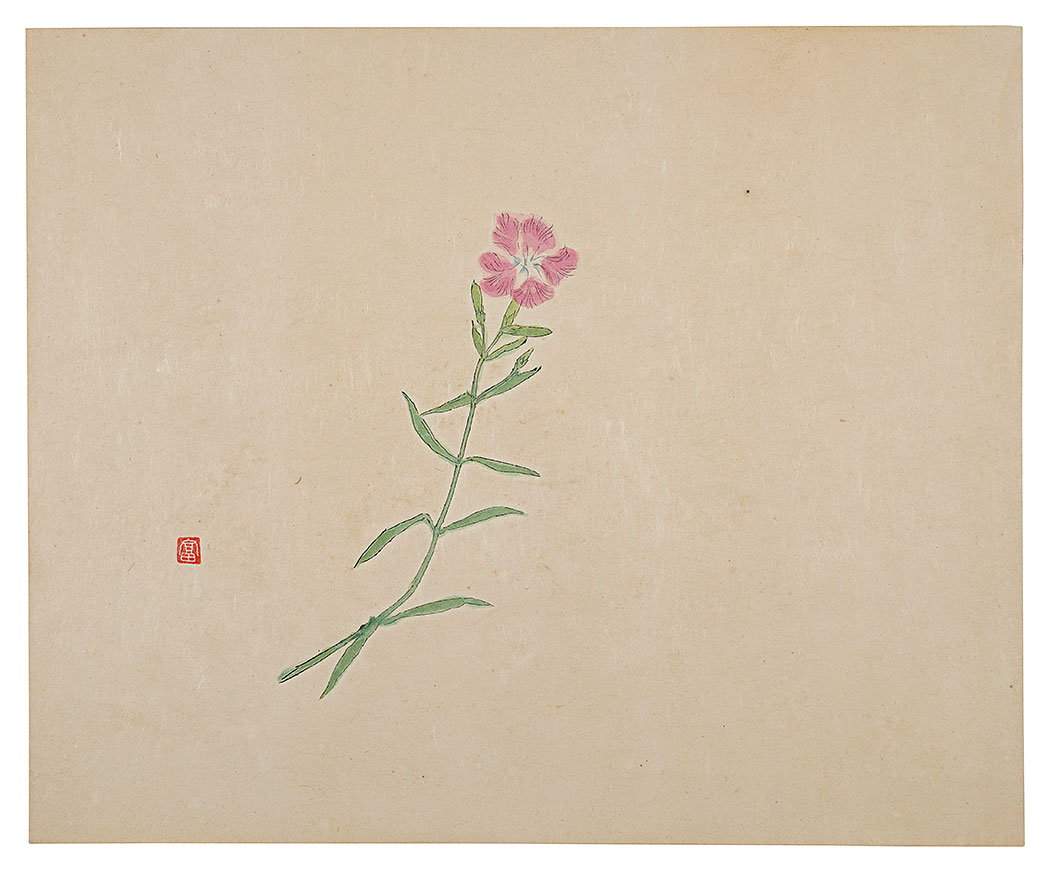 富本憲吉「陶画集より　撫子」