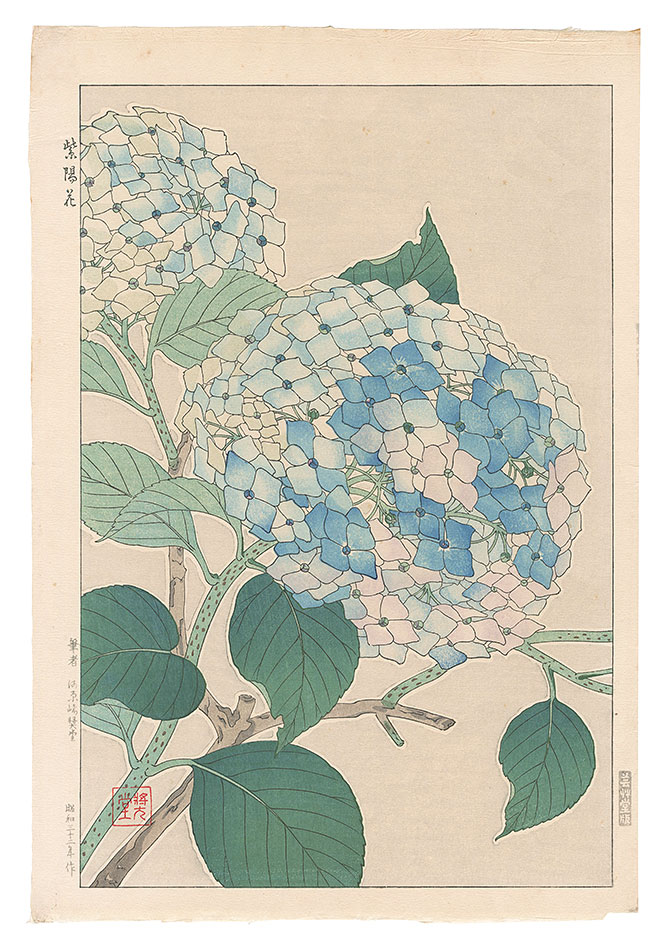 河原崎奨堂「紫陽花」