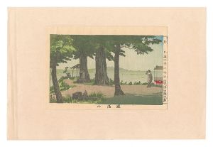 True Pictures of Famous Places of Tokyo / Do'kan Hill / Yasuji,Tankei
