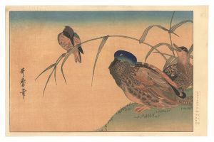 Mallard Ducks and Kingfisher【Reproduction】 / Utamaro