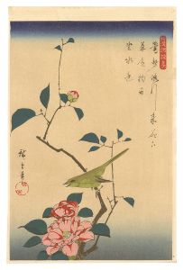 Anthology of Japanese and Chinese Poems / Camellia and Japanese Nightingale【Reproduction】 / Hiroshige I