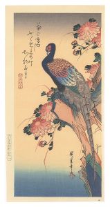 Peacock【Reproduction】 / Hiroshige I