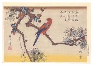 Parakeet on Pine Tree【Reproduction】 / Hiroshige I