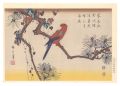 Parakeet on Pine Tree【Reproduc......