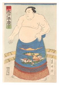 Sumo-e: O'tohira Hirokichi from Sendai