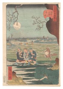 江戸名所道外尽　三 浅草友甫の奇怪　／　広景