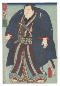 相撲絵 桑名 境川浪右衛門 / 豊国三代