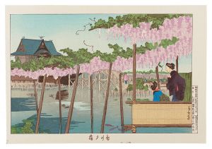 東京名所図会　亀井戸藤【復刻版】　／　清親