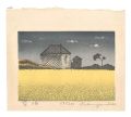 Mustard Field