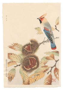 Fukuda Suiko / Chestnuts and a Waxwing