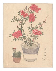 摺物　／　春扇