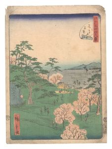 Forty-Eight Famous Views of Edo / No. 13: Cherry-blossom Viewing at Asuka Hill / Hiroshige II