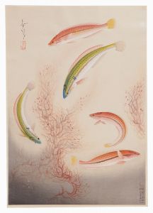 大日本魚類画集　第一輯ノ四　ベラ　／　大野麥風