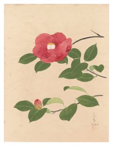 Camellia (tentative title) / Ono Bakufu