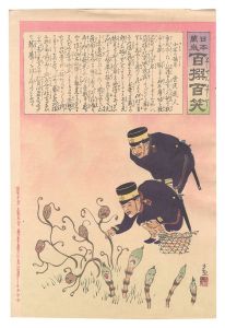 日本万歳百撰百笑 北京の摘草 骨皮道人 / 清親