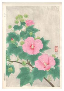 芙蓉　／　伊藤仁三郎