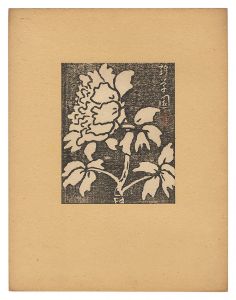 Peony / Tsukamoto Tetsu