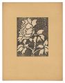 Peony