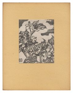Chameleon Plant / Kuroki Sadao
