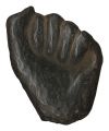 Hand