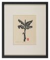 Young Japanese Banana