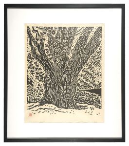Maple Tree on the Potomac Riverbank / Hiratsuka Unichi