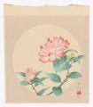 Camellia