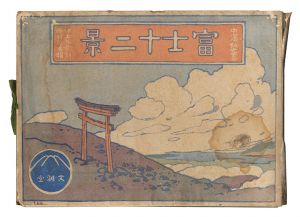 Twelve Views of Mount Fuji / Nakazawa Hiromitsu