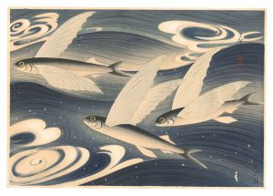 大日本魚類画集　第一輯ノ六 飛魚　／　大野麥風