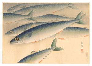 大日本魚類画集　第ニ輯ノ四 鯖　／　大野麥風