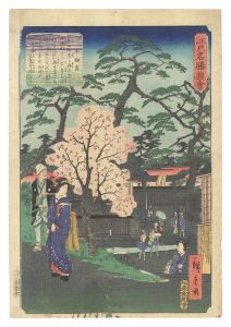 江戸名勝図会　牛御前　／　広重二代