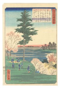 江戸名勝図会　日暮里　／　広重二代