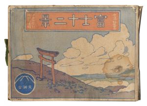Nakazawa Hiromitsu / Twelve Views of Mount Fuji