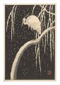 Egret in snow (tentative title......