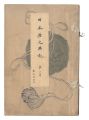 Illustrated Journal of Japanes......