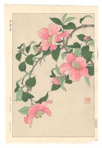 山茶花　／　河原崎奨堂