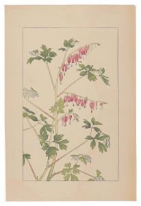Bleeding　Hearｔｓ / Sugiura Hisui