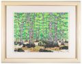 Shirakami Sanchi (Spring)