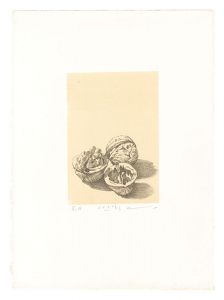 胡桃（仮題）　／　三栖右嗣