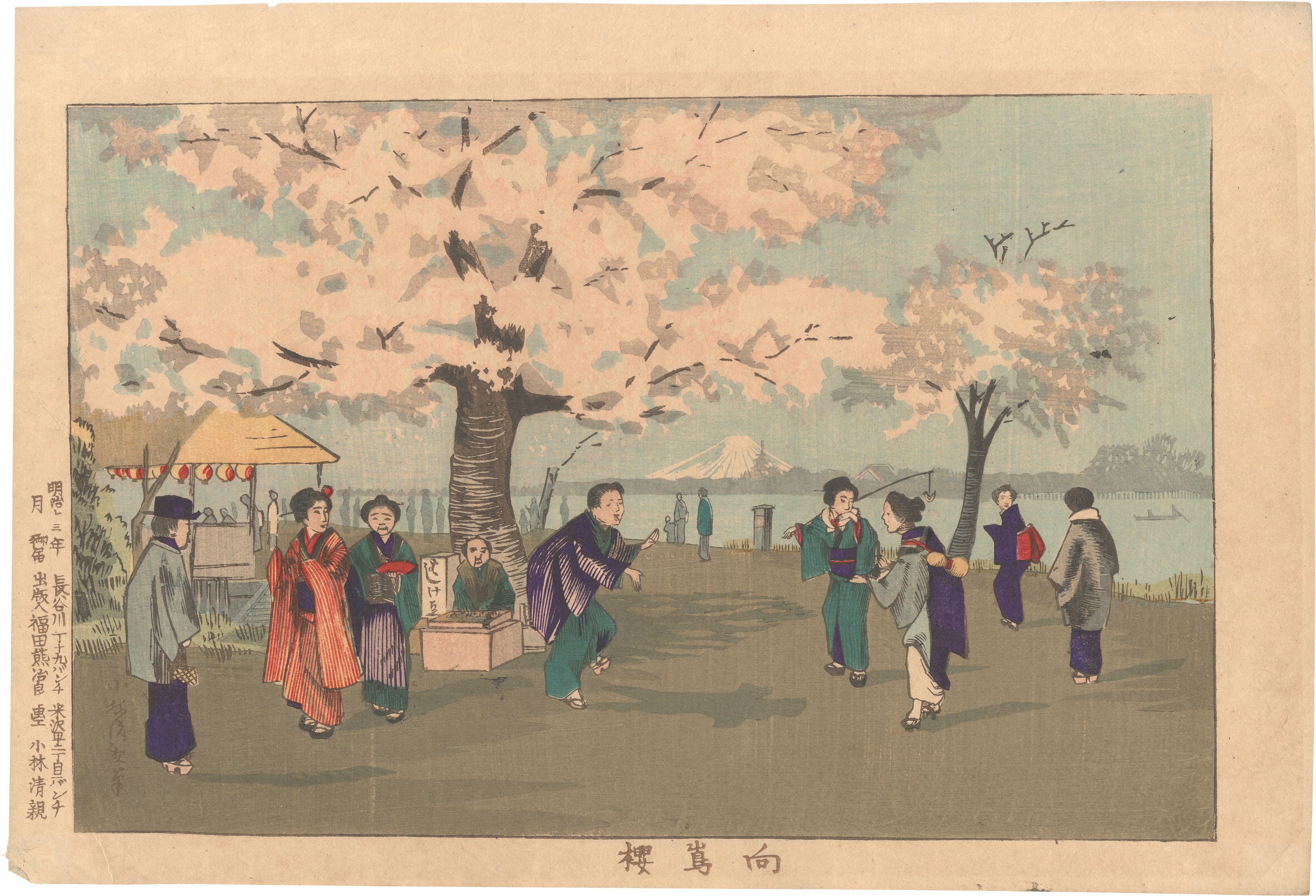 清親「向島桜」