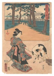 The Fifty-three Stations by Two Brushes / Fujisawa / Hiroshige I and Toyokuni III