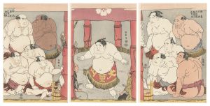 大童山土俵入り【復刻版】