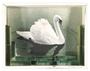a field, a home / Swan I / Katsumoto Mitsuru