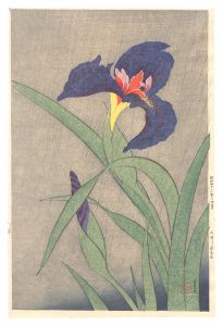Iris (tentative title) / Mitsui Atsuo