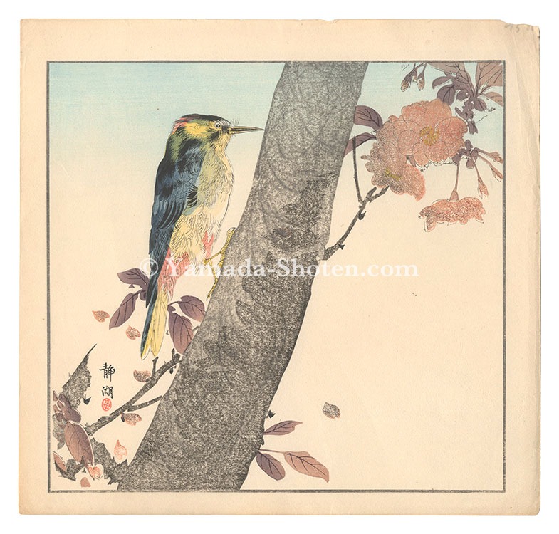 静湖「花鳥画」