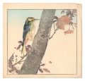 Birds and Flower